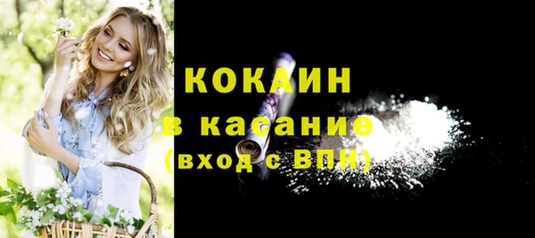 твердый Сосновка