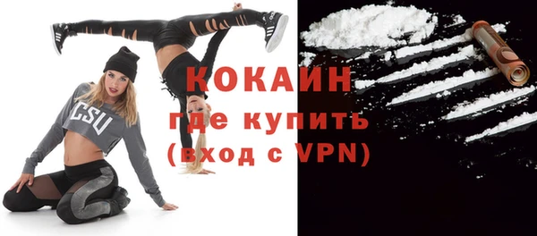 твердый Сосновка