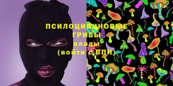 крисы Сосновый Бор