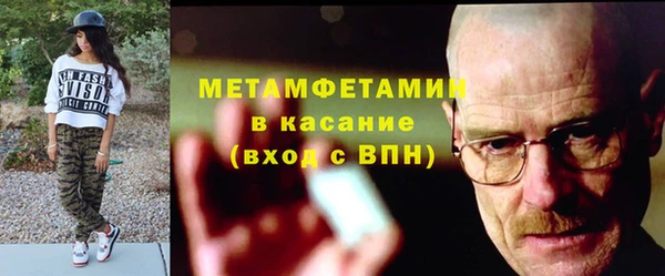 крисы Сосновый Бор