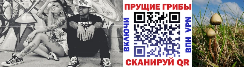 Псилоцибиновые грибы GOLDEN TEACHER  хочу   Усть-Кут 